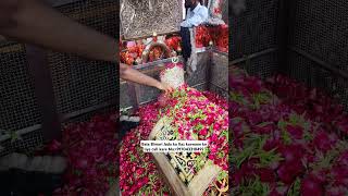 Mira datar dargah Urs stetuswhatsapp qawwali status2024new qawwaliFamous qawwalimira data [upl. by Theodore]