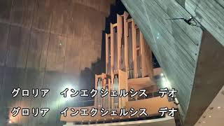 カトリック聖歌集121番 あめのみつかいの 歌詞付き 東京カテドラル聖マリア大聖堂の風景とともに Angels We Have Heard on High クリスマスミサの曲 グローリア 讃美歌 [upl. by Daugherty]