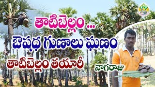 తాటి చెట్టు నుంచి తాటి బెల్లం తయారీ  Palm Jaggery Making  Natural Medicine [upl. by Nirmak]