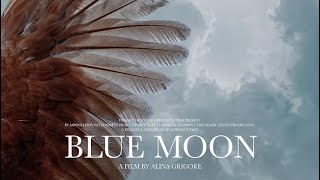 Crai Nou Blue Moon DVD [upl. by Jeannie]