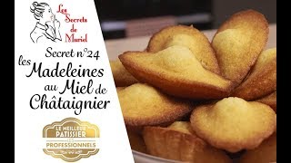 Les Madeleines au Miel de Châtaignier Les secrets de Muriel [upl. by Amieva]