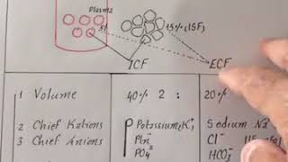 Simple vs Facilitated Diffusion Explained  Fluid amp Electrolytes shorts nursing [upl. by Tare]