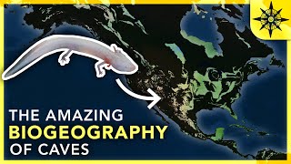 The Amazing Biogeography of Caves [upl. by Ynar6]