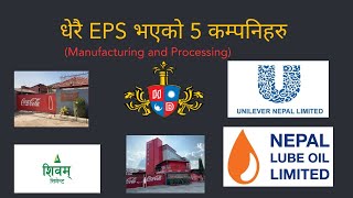 Top 5 Companies in Nepal  Having More EPS  Manufacturing and Processing  Nepse Daily Update [upl. by Luapnaej]