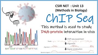 chromatin immuno precipitation  CSIR UNIT 13  IIT JAM  BHU  JNU CEEB [upl. by Bicknell]