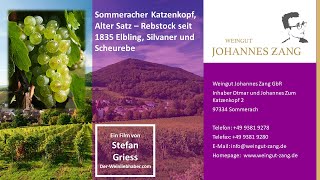 Weingut Johannes Zang Sommerach an der Mainschleife  KatzenkopfSilvaner Scheurebe und Elbling [upl. by Nylrehc712]