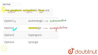 Preganglionic sympathetic fibres are [upl. by Oswal580]