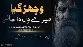 Vichar Gaya Mere Dil Da Jani  Sufi kalam 2024  New Sufi Voice 2024 [upl. by Gorlin]