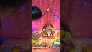 🦚Krishna Jayanthi Poojai🙏🏻 dkdineshdancer rajkumari krishnajanmashtami poojai trending reels [upl. by Lira908]