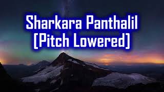 Sharkara Panthalil Karaoke Pitch Lowered [upl. by Ellehcen]