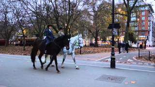 Hyde Park Speakers Corner Horses [upl. by Yrrah909]