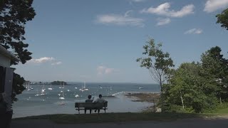 Poisoned trees gave a wealthy couple in Maine a great ocean view Residents wonder at what cost [upl. by Jammin]