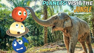 The Solar System Planets visit a Jungle Learning about Space and Earth  Geography [upl. by Asta]