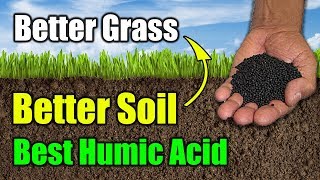 Best Humic Acid Product for Lawns [upl. by Chretien]