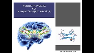 NEUROTROPHINS OR NEUROTROPHIC FACTORS [upl. by Airpac]