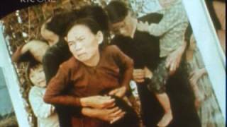 My Lai Massacre Vietnam 1968 [upl. by Llewon928]