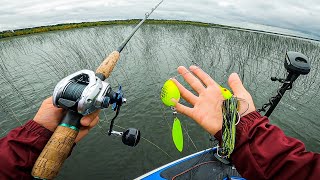 Minnesota Musky Fishing TOURNAMENT Fishing DEEP In The Reeds For Muskie [upl. by Routh]