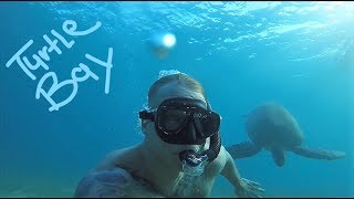 Egypt Turtle Bay  Marsa Alam HD [upl. by Engedi594]