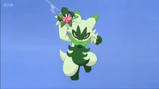 Pokemon Horizons  Sprigatito Evolves into Floragato English Dubbed [upl. by Ycnej919]