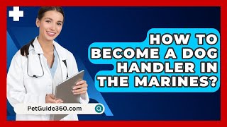 How To Become A Dog Handler In The Marines  PetGuide360com [upl. by Carrington]