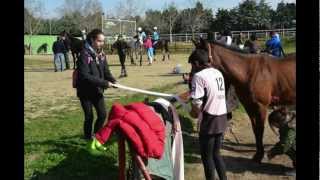 VIVIR EL HORSEBALL EN MADRID CLUB SHARKS LA PLAZA [upl. by Terryn]