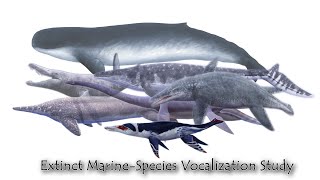 Extinct MarineSpecies Vocalization Study [upl. by Zwick]