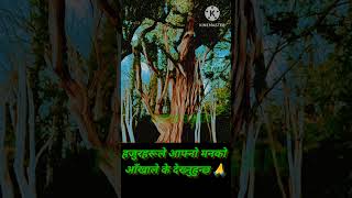 Shree Krishna govindhareshree krishna songshree krishna aartishortvideo❤️ shree krishna bhajan❤️ [upl. by Lucienne105]