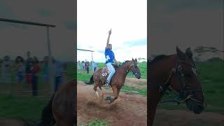 PASSOS MINAS GERAIS BRASIL 🇧🇷 argolinha horse champion [upl. by Aviva]