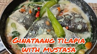 Ginataang Tilapia with Mustasa [upl. by Otreblif]