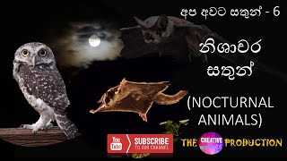 නිශාචර සතුන්  NOCTURNAL ANIMALS [upl. by Adrienne102]