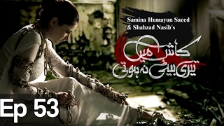 Kash Main Teri Beti Na Hoti  Episode 53  Har Pal Geo [upl. by Anilesor538]