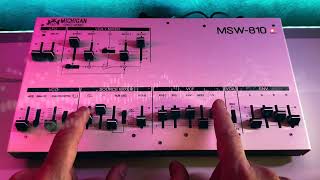 MICHIGAN SYNTH WORKS MSW810 [upl. by Constanta]