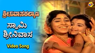 Swamy Srinivasa Video Song  Sri Srinivasa Kalyana Movie Songs  Rajkumar  B Saroja Devi  TVNXT [upl. by Yrahk]