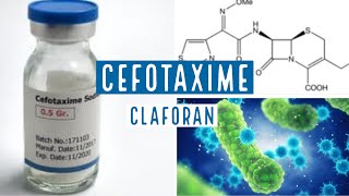 CEFOTAXIME  CLAFORAN  1g [upl. by Mallina]