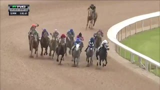 RACE REPLAY 2016 Arkansas Derby Featuring Creator [upl. by Ahsimak]