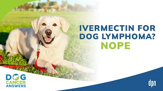 Ivermectin for Dog Lymphoma Nope  Dr Brooke Britton [upl. by Mathe]