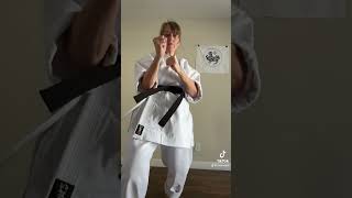 Jodan Mae Geri  Chudan Mawashi Geri Jodan Mawashi Geri [upl. by Adamina]