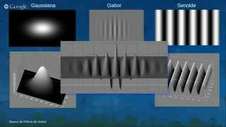 Banco de Filtros de Gabor [upl. by Omissam]