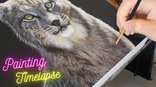 Timelapse Painting  ANIMAL ART Painting a Lynx in Acrylics [upl. by Neomah]