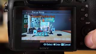 Sony RX10 IV  Focus Area amp Focus Modes [upl. by Atekehs320]