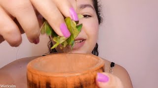 ASMR  Cuidando De Você Com Gripe  Te Preparando Para Dormir [upl. by Nordine845]