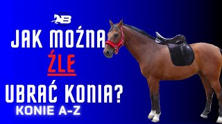 Siodłanie konia  Konie A  Z  Jak ubrać konia prawidłowo Największe błędy przy siodłaniu [upl. by Rennob759]