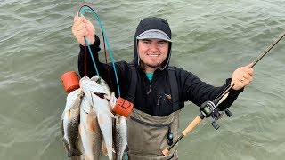 Wade Fishing Galveston Bay catch clean cook [upl. by Nickles838]