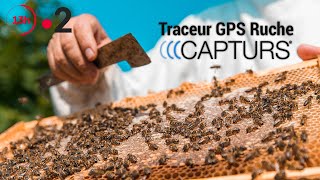 Traceur GPS Ruche  Journal 13h France 2 [upl. by Ardnossac]