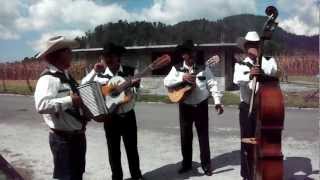 Grupo Norteño COVER Muchacho Alegre [upl. by Gaivn102]