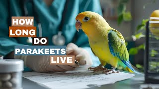 How Long Do Parakeets Live [upl. by Enileme]