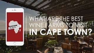 What are the best wine farms to visit in Cape Town Rhino Africas Travel Tips [upl. by Emina199]