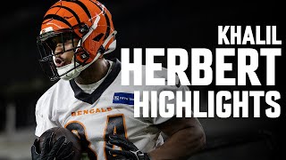 Khalil Herberts TOP career plays so far [upl. by Iblok]