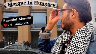 Muslim Center in Hungary  Budapest Mosque  Life in Budapest [upl. by Nosila]