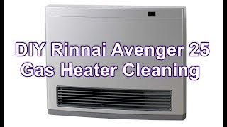 DIY Rinnai Avenger 25 Gas Heater Cleaning [upl. by Annair317]